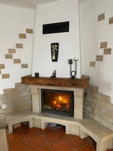 una sala de estar con chimenea de piedra. en Penzio Ostrava, en Ostrava