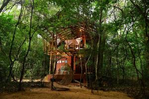 een boomhut midden in het bos bij Back of Beyond - Pidurangala in Sigiriya