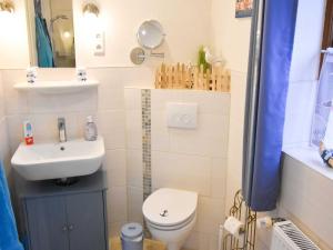 a small bathroom with a toilet and a sink at Ferienhaus Deerberg in Hasselberg