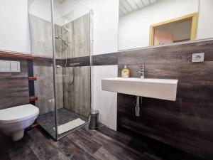 ein Badezimmer mit Waschbecken, Dusche und Toilette in der Unterkunft Ferienwohnungen Bergstrasse in Wernigerode + 37 Fotos
