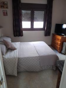 1 dormitorio con cama, ventana y TV en Apartment on the Plaza en Alicante