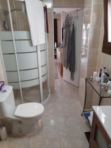 a bathroom with a toilet and a shower at Apartment on the Plaza in Alicante