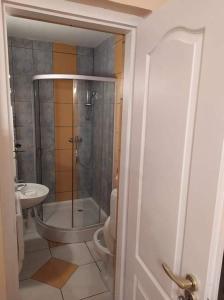 a bathroom with a shower and a toilet and a sink at Vencsellői Wellness Vendégház in Gávavencsellő