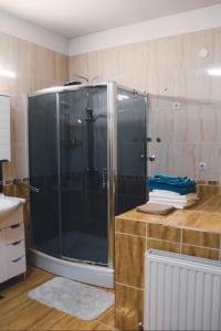 a shower with a glass door in a bathroom at APARTMENTS KRAPEC in Ježdovec