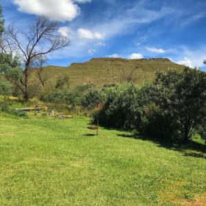 un campo verde con una collina sullo sfondo di Sani Lodge and Backpackers Sani Pass South Africa a Sani Pass