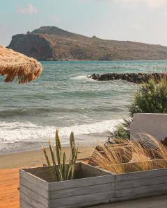 widok na plażę i ocean w obiekcie Esperanto seafront studio w mieście Agia Marina Nea Kydonias