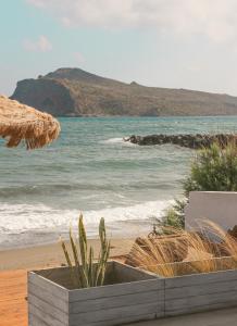a view of the beach and the ocean at Esperanto seafront studio in Agia Marina Nea Kydonias +15 photos