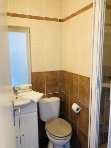 a bathroom with a toilet and a sink at Hotel le Provençal in Narbonne-Plage