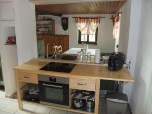 a kitchen with a counter with a sink and a stove at Ferienwohnung Scholter in Eichstegen