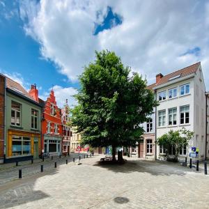 a tree in the middle of a street with buildings at Great in Ghent