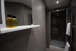 a bathroom with a mirror and a shower in it at The Sandringham Suite in Plymouth