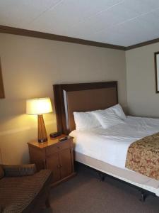 1 dormitorio con cama, lámpara y silla en Owen Sound Inn, en Owen Sound