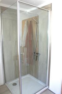 a shower with a glass enclosure in a bathroom at Talblick in Lörrach