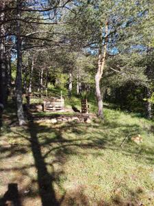 cień drzewa na polu z drzewami w obiekcie Gite les Cigales w mieście Châteauvieux