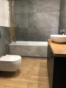Kúpeľňa v ubytovaní Apartamenty Przy IV Śluzie - LUX 50m2