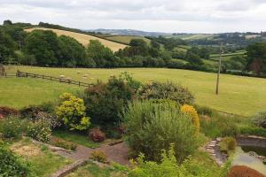 a herd of sheep grazing in a field at Orchard Cottage in Tiverton