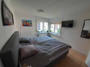 a bedroom with a bed and a television in it at Monteurswohnungen in Biedenkopf in Biedenkopf