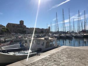 Příroda nedaleko apartmánu