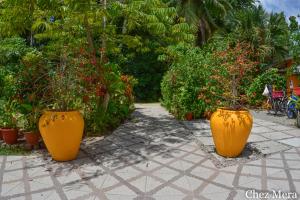 Gallery image of Chez Mera Self Catering in La Digue