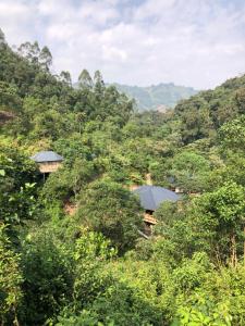 a hillside with houses in the middle of a forest at Nshongi Camp in Rubuguli