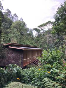 ein kleines Gebäude inmitten eines Waldes in der Unterkunft Nshongi Camp in Rubuguli