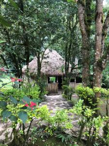 a hut with a thatched roof in a garden at Nshongi Camp in Rubuguli