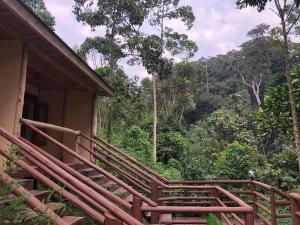 Ein Garten an der Unterkunft Nshongi Camp