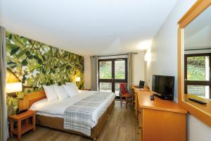 a bedroom with a bed and a desk and a tv at Club Vacances Bleues Domaine de Château Laval in Gréoux-les-Bains