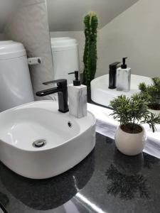 un baño con lavabo y un cactus en una encimera en Appart' Studio cooconing - Champs Elysées - JO 2024, en Maisons-Laffitte