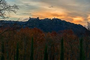 een kasteel bovenop een heuvel met bomen bij B&B Da Nada Locanda Toscana in Roccatederighi