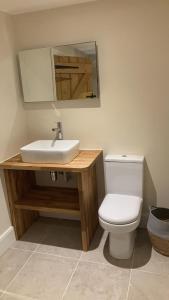 a bathroom with a white toilet and a sink at The Groom's Cottage in Towcester