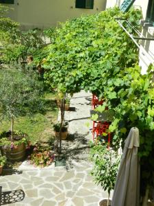 a garden with many potted plants and an umbrella at Toscani da sempre in Pontassieve