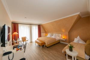 TV a/nebo společenská místnost v ubytování Hotel & Restaurant Alte Schule