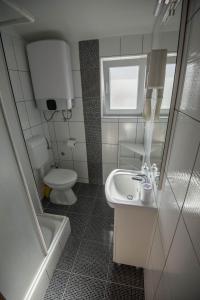La petite salle de bains est pourvue d'un lavabo et de toilettes. dans l'établissement Apartment Miro, à Dolac