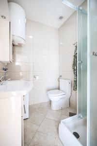 a bathroom with a toilet and a sink and a shower at Apartments Anka with Seaview in Vrsi