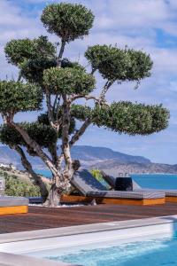 a tree next to a swimming pool with a tree at The Olive Tree Villa Elounda in Elounda