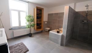 bagno con doccia, lavandino e servizi igienici di Brasserie Sint Pieter a Rekem