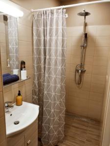 a bathroom with a shower curtain and a sink at FAND Center Apartman in Szeged