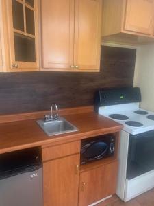 a kitchen with a sink and a stove at Bestway Motel in Windsor
