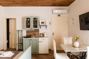 a small kitchen with a table and a counter top at Vila Ana in Štanjel