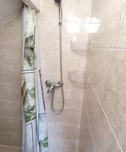 a shower with a glass door in a bathroom at Bungalow d'une chambre avec jardin clos et wifi a Fort de France in Fort-de-France