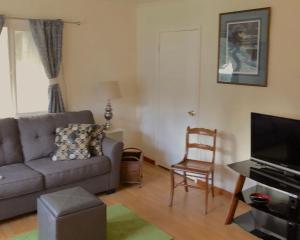 a living room with a couch and a television at Nugget Place-Includes three separate two bedroom units near Mendenhall Glacier-DISCOUNTS ON TOURS! in Mendenhaven