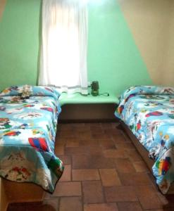 1 dormitorio con 2 camas individuales y ventana en Chalet rural en La Mancha con jardin y piscina privados en Tomelloso