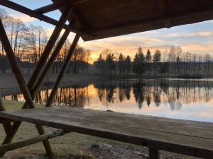 a bench sitting in front of a lake with the sunset at Hundeurlaub - Tiny House im Wald in Tanna