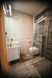 La salle de bains est pourvue de toilettes, d'un lavabo et d'une douche. dans l'établissement Tarasówka u Zająca, à Ząb