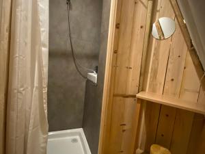 een badkamer met een douche, een toilet en een wastafel bij Studio Maulde, 1 pièce, 4 personnes - FR-1-510-148 