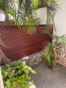 un banc en bois avec une bande de plantes et une chaise dans l'établissement Luna Creciente, à Santa Cruz Huatulco