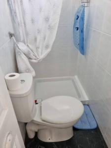 uma casa de banho com um WC e uma cortina de chuveiro em Charming 2 Bedroom Holiday Chalet em Withernsea