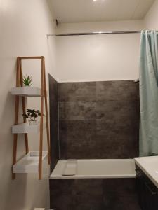 a bathroom with a shower with a sink and a toilet at Apt lumineux in Gonesse +15 photos