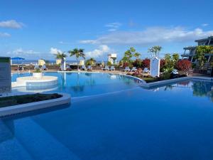 a large swimming pool with blue water and palm trees at Sofia in Santa Úrsula